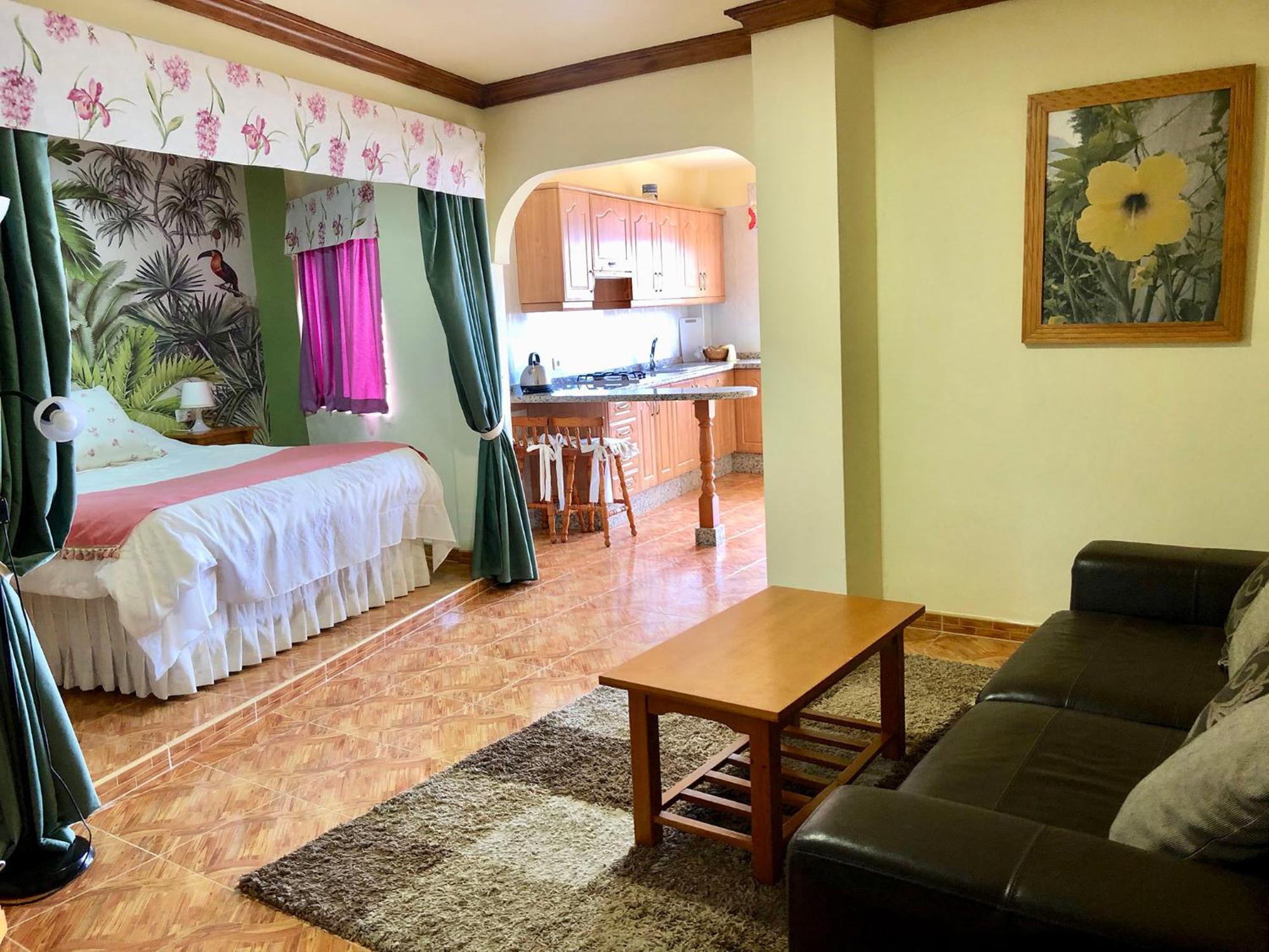 Vv Apartamentos Estrella Del Norte Ікод-де-лос-Вінос Екстер'єр фото